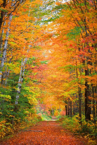 Guida Panoramica Attraverso Campagna Del New England — Foto Stock