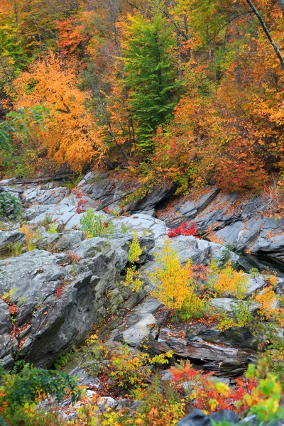 Scenic Water Stream Woodstock Vermont — Stock Photo, Image