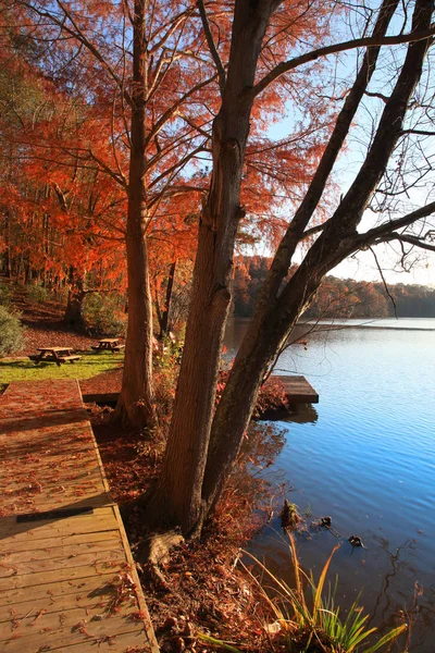 Árvores Outono Junto Lago — Fotografia de Stock