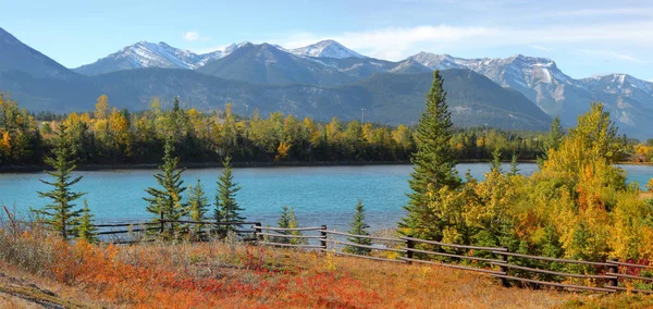 Bow Folyó Táj Banff Nemzeti Parkban — Stock Fotó