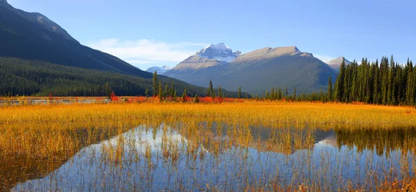 Paysage Automne Pittoresque Près Ice Fields Parkway — Photo