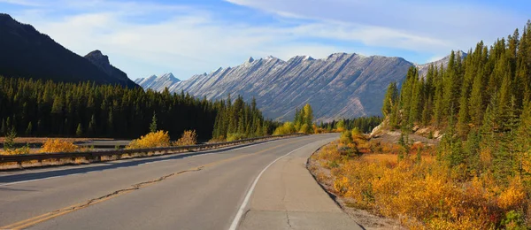 Schilderachtige Weg Ijsvelden Parkway Het Nationaal Park Jasper — Stockfoto