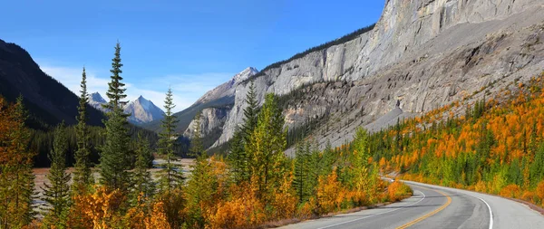 Route Panoramique Promenade Des Champs Glace Dans Parc National Jasper — Photo