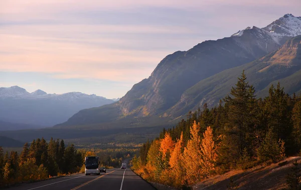 Vackra Vägen Glaces Parkway Jasper National Park — Stockfoto