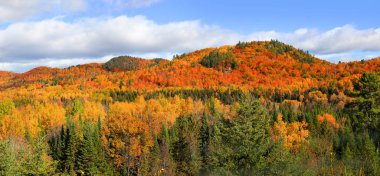 Sonbaharda yapraklar Quebec güzel panoramik manzara
