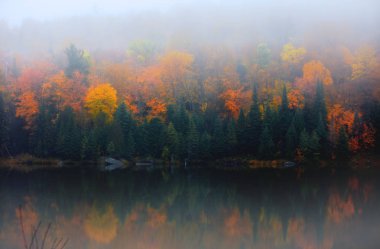 Göl ile sabah sis sonbahar ağaç yansımalar