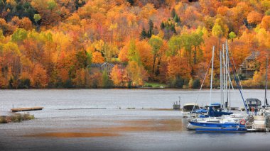 Riviere Saint Maurice Grandes kazık yakınındaki sonbahar zamanında