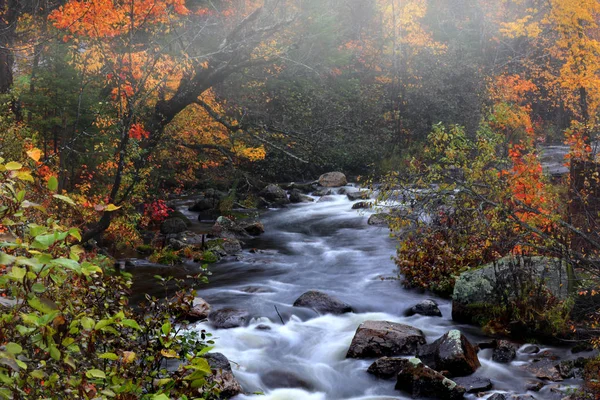 Watervallen Het Platteland Van Vermont Herfst — Stockfoto