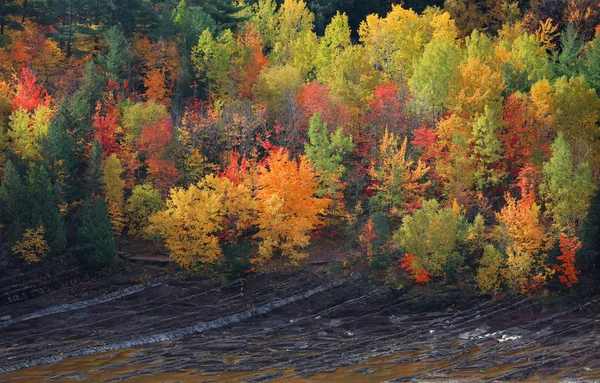 Kleurrijke Herfst Bomen Door Heuvel Van Voet — Stockfoto