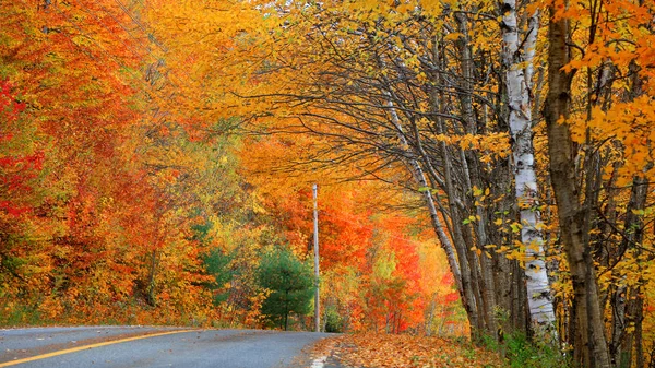 Estrada Panorâmica Através Campo Quebec Outono — Fotografia de Stock