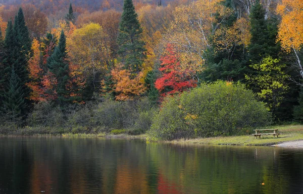 Reflexões Árvores Outono Lac Chat Parque Nacional Mont Tremblant — Fotografia de Stock