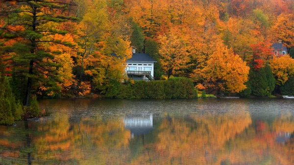 Paesaggio Paesaggistico Autunnale Nella Campagna Del Quebec — Foto Stock