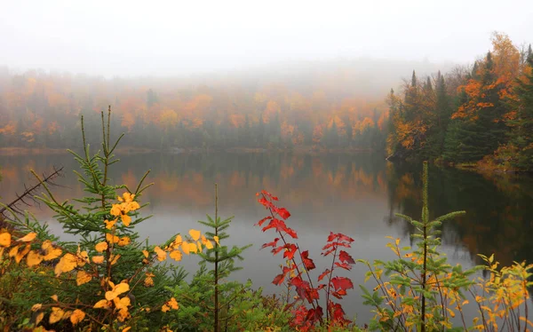 Mlhavá Krajina Poblíž Mont Tremblant Quebecu — Stock fotografie