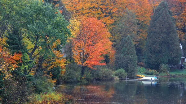 Riflessi Dell Albero Autunnale Nello Stagno — Foto Stock