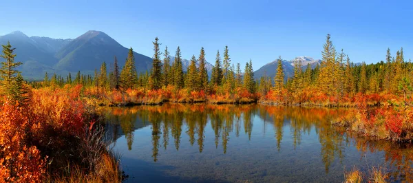 Vue Panoramique Paysage Des Lacs Vermilion Dans Parc National Banff — Photo