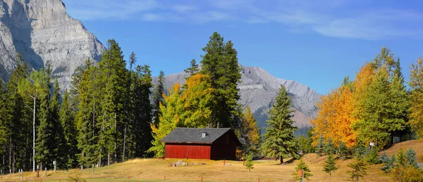 Panoramiczny Widok Krajobraz Jesień Parku Narodowym Banff — Zdjęcie stockowe