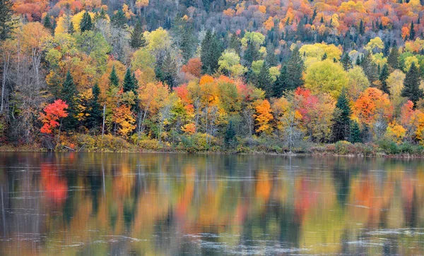 Reflexiones Árboles Otoñales Riviere Saint Maurice —  Fotos de Stock