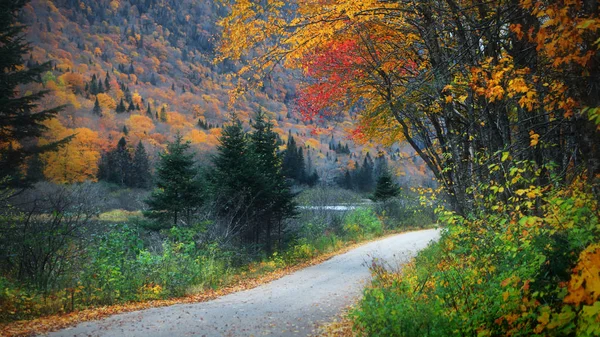 Ruta Panorámica Por Parque Nacional Parc Jacques Cartier Quebec — Foto de Stock