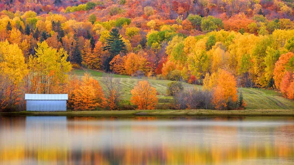 Malerische Herbstlandschaft Und Besinnung — Stockfoto