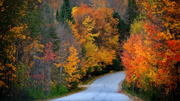 Scénická Podzimní Jízda Venkově Quebec — Stock fotografie