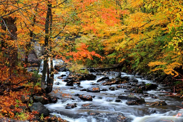 Tekoucí Voda Přes Podzimní Stromy — Stock fotografie