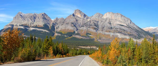 Scenic Road Ice Fields Parkway Jasper National Park — Stock Photo, Image