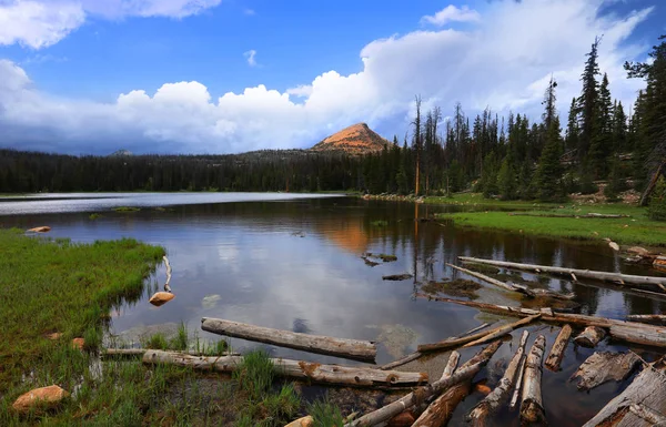 Scenic Landscape Uinta Wasatch National Forest — Stock Photo, Image