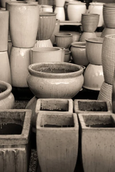 Muitos Vasos Plantas Diferentes Cor Sépia — Fotografia de Stock