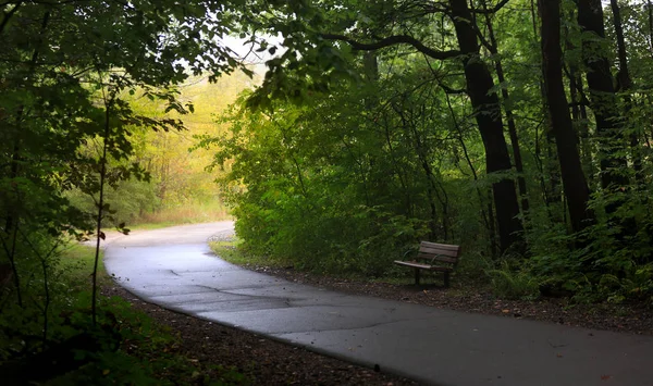 Cykelleden Parken Sommaren Morgon — Stockfoto