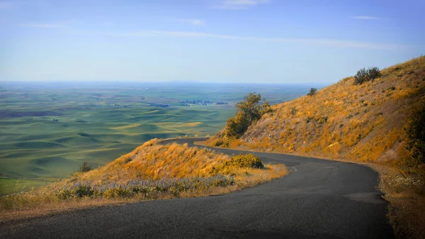 Belle Route Steptoe Butte Palouse — Photo