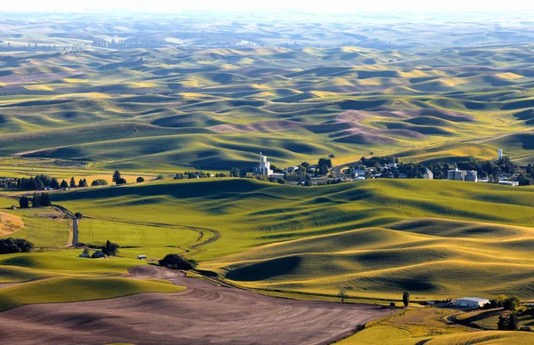 Горбисті Штаті Вашингтон Palouse Під Сонцем Встановити — стокове фото