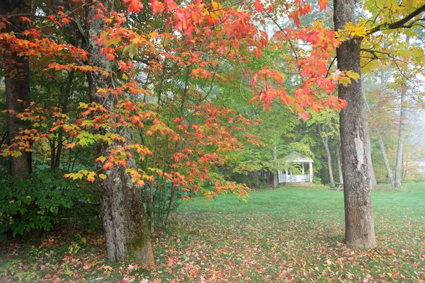 Manhã Enevoada Vermont Rural — Fotografia de Stock