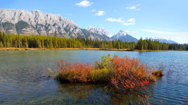 Herfst Landschap Nationaal Park Banff — Stockfoto