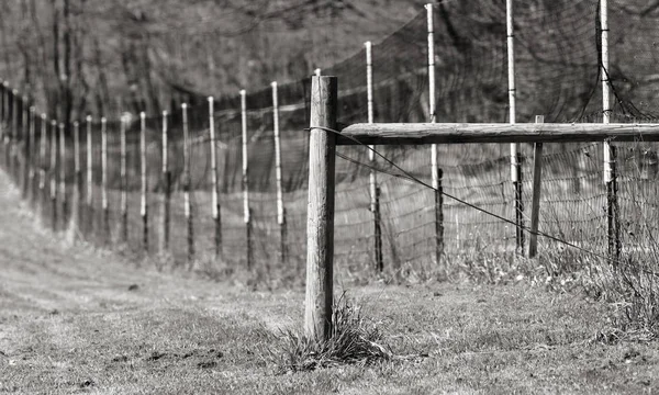 Monochrome Image Long Fence Farm — Stock Photo, Image
