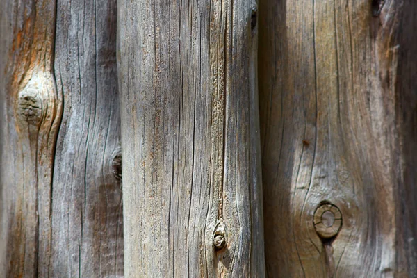 통나무의 클로즈업 — 스톡 사진