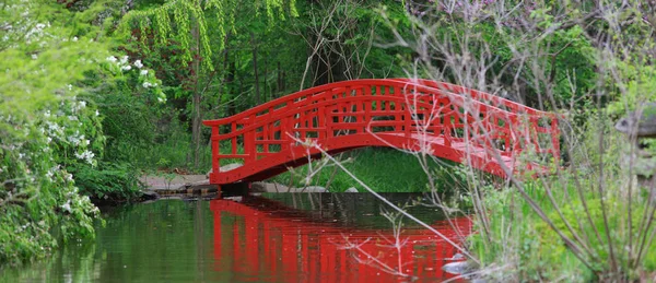 Японський Сад Детройті Штат Мічиган Весняний Час — стокове фото