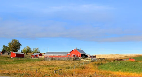 Stodoła Środku Prairies Albercie Kanada — Zdjęcie stockowe