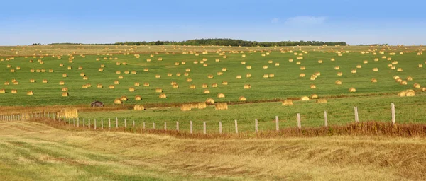 Panoramic View Farm Landscape Hay Bales — Stock Photo, Image
