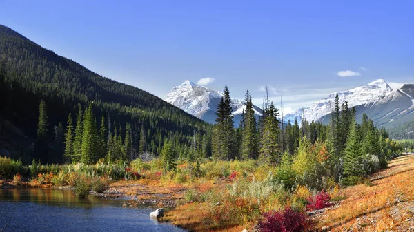 Paisagem Lagoa Panorâmica Longo Trilha Kananaskis Parque Nacional Banff — Fotografia de Stock