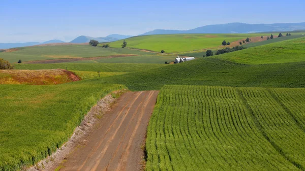 Grind Weg Door Het Prachtige Landschap Van Palouse — Stockfoto