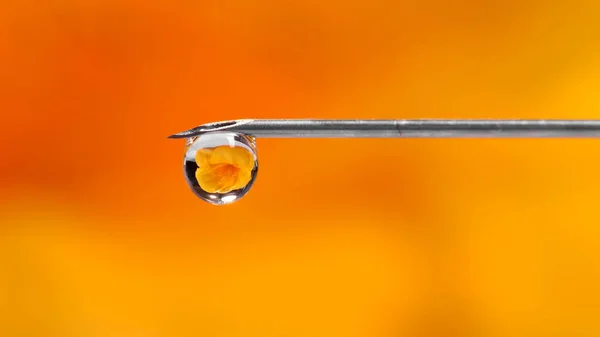 Extream Close Shot Needle Water Bubble — Stock Photo, Image