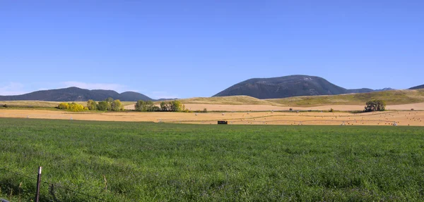 ワイオミング州の草原の風景のパノラマビュー — ストック写真