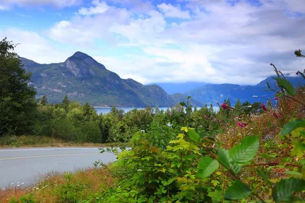 Malebná Venkovská Krajina Divokými Květy Britské Kolumbii Podél Dálnice — Stock fotografie