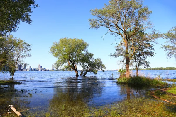 Overstroming Water Centrum Eiland Nabij Toronto — Stockfoto