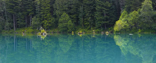 Refleksi Pohon Danau Air Biru — Stok Foto
