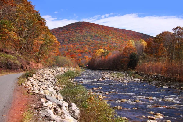 Stromend Water West Virginia Applachian Mountains — Stockfoto