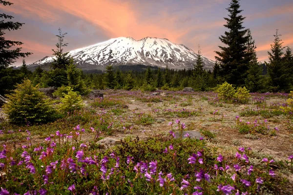 Monte Saint Helens Pico Estado Washington — Foto de Stock