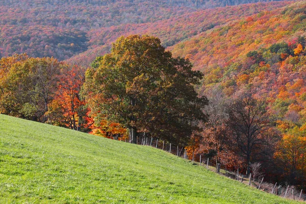 景区景观的农村西弗吉尼亚州 — 图库照片