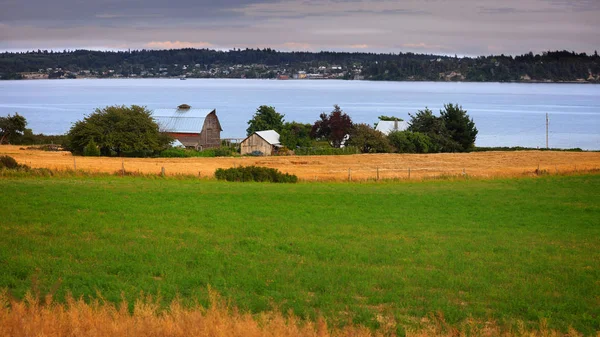 Washington Eyaletinde Whidbey Adasında Çiftlik Manzara — Stok fotoğraf