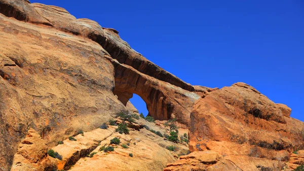 Cove Arch Arches National Park — Stockfoto